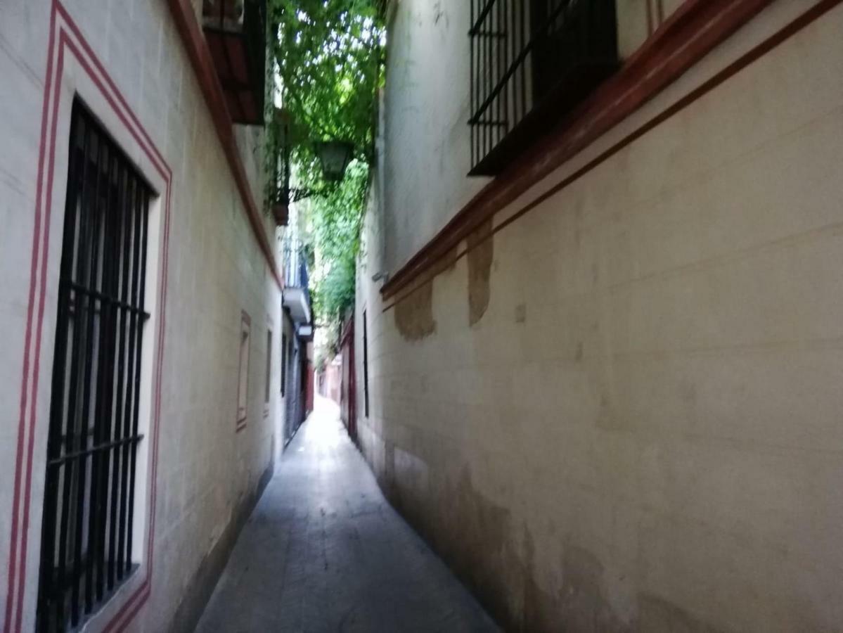 Apartamento En La Juderia De Sevilla Extérieur photo